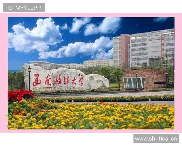重庆网球队的节奏革新探索与发展之路全景解析 重庆网球队的节奏革新探索与发展之路全景解析